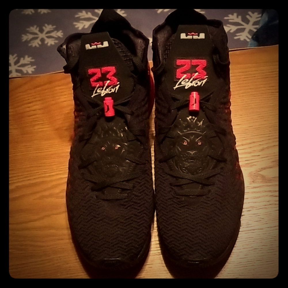 Lebron 17